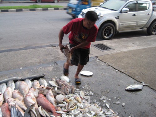 ตัวนี้ใครได้ไม่รู้ผมถ่ายอย่างเดียว  :laughing: :laughing: