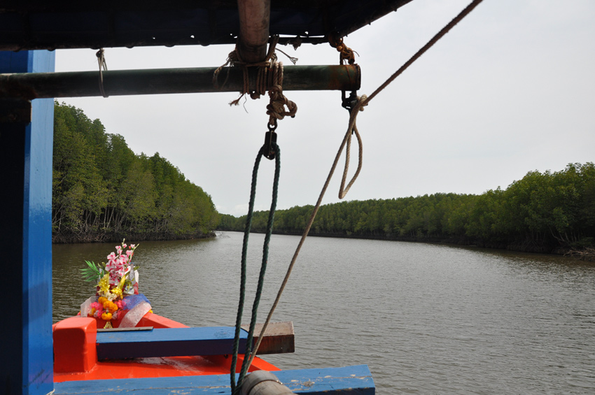 ผมไม่ได้มาเยี่ยมเยือนทะเลแห่งนี้นานมาก เลยพูดเปรยๆกับเด็กเรือว่าเดี๋ยวนี้ป่าโกงกางดูดีกว่าเดิมเยอะนะ