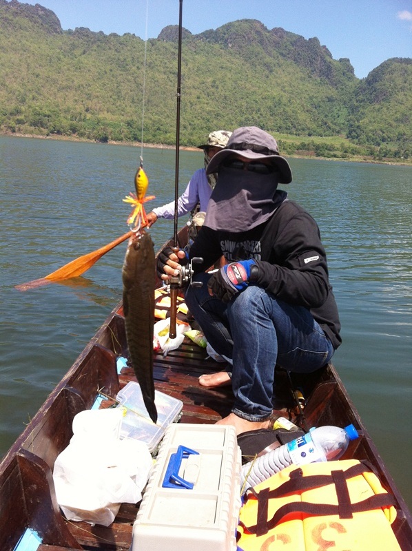 [center][b]ตัวเล็กแบบนี้...เจ้าของเหยื่อไม