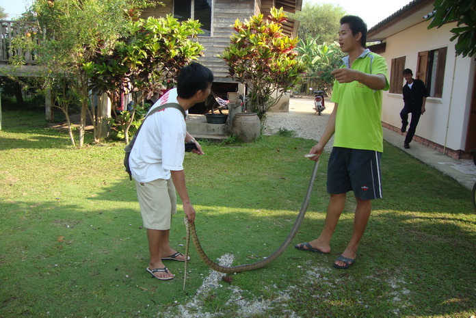 หลานผมมันบอกเดี๋ยวเอาไปตะเวนขายก่อน........... :cheer: :cheer: :cheer: :cheer: