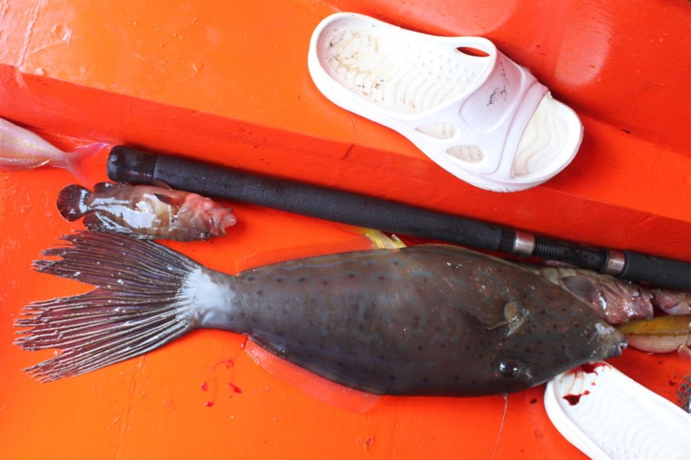  [b]ส่วนด้านท้ายเรือ น้าไก่ก็จัดการกับเจ้าตัวทำลายเหยื่อขึ้นมา  ผมเลยถามว่า เอามาทำไม กินได้เหรอ  จุ