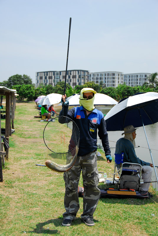 เดินมาชั่งปลาบ่อยมาก 