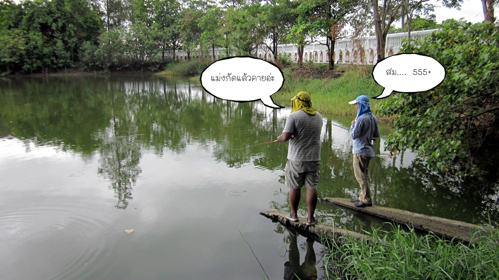 มาๆๆ จะจัดให้หนัก

ฝนก็ลงพรำๆครับ  ที่ชลบุรีพายุเข้า   กรม อุ ตูด  บอกว่าจะมีฝนสามวัน  เห็นมันตกวั