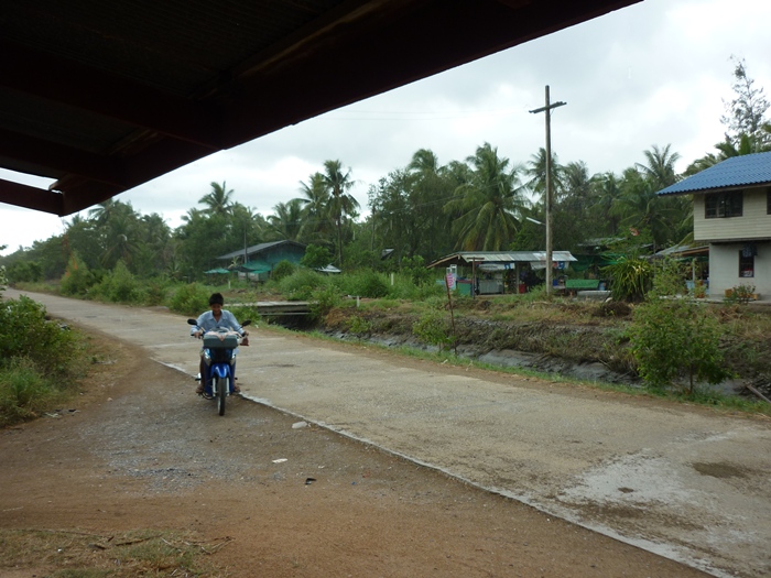 ไอ้แจ๊คมาเร็ว ฝนลงแล้ว :grin: