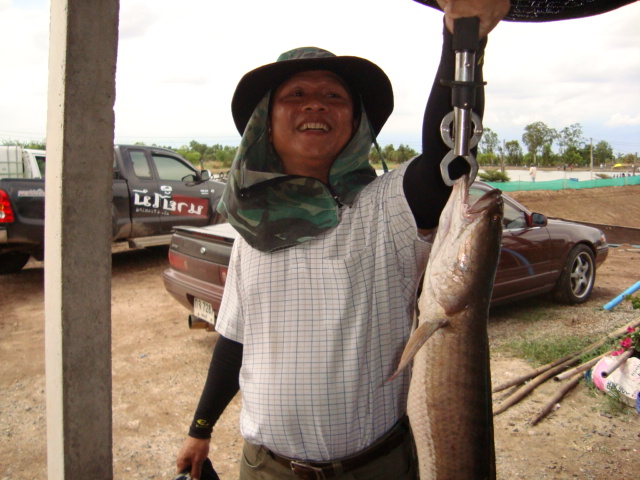 ลุงพันล้านจะกลับแระได้ไปหลายตัวเหมือนกัน เลยขอถ่ายรูปไว้หน่อย เห็นลุงบอกสนุกมาก แค่นี้ผู้จัดก้อดีใจห