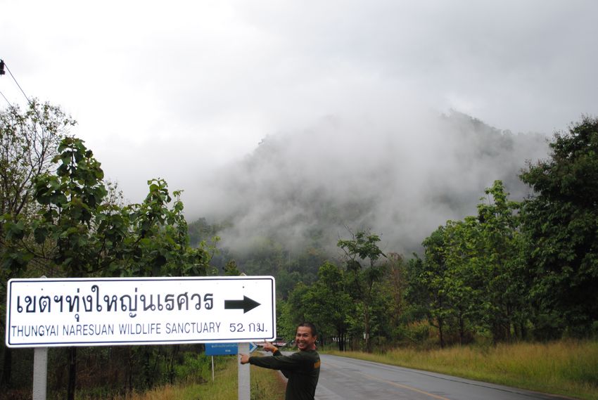 บรรยากาศช่วงทางขึ้นอุทยานแห่งชาติ ทุ่งใหญ่นเรศวร งดงามมากๆๆ  