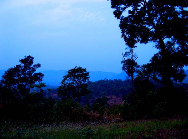 255

ภาวนานับดาว
ลมเย็นล่องสาดแสงเดือนเด่น
ความสูงเป็นพันเมตร
