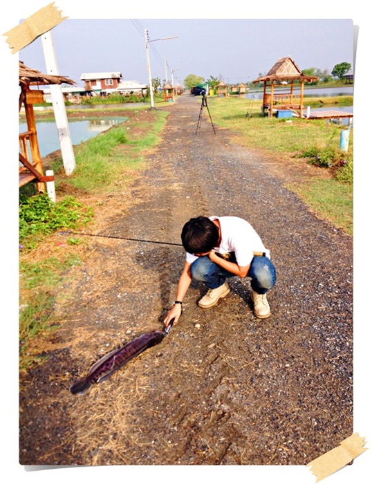 [q][i]อ้างถึง: IsSuE` posted: 12-05-2555, 20:19:11[/i]

 :cheer: :cheer: :cheer:

และน้า fishing