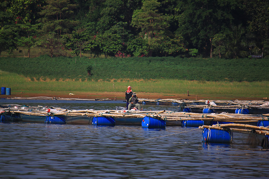 ลำนี้เรือลำใหม่ของ น้าปอม เจ้อ้อย  นี่ก็เจ้าถิ่นที่นี่อีกราย  ไม่ได้ปลามาชั่งนะ จัดหนัก จัดหนัก
 :l