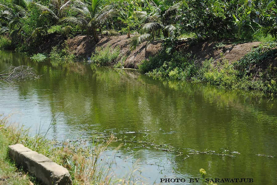 สภาพหมายเป็นหมายเดียวกับวันก่อนนั้นครับ  แต่ห่างกัน  ประมาณ700 เมตร