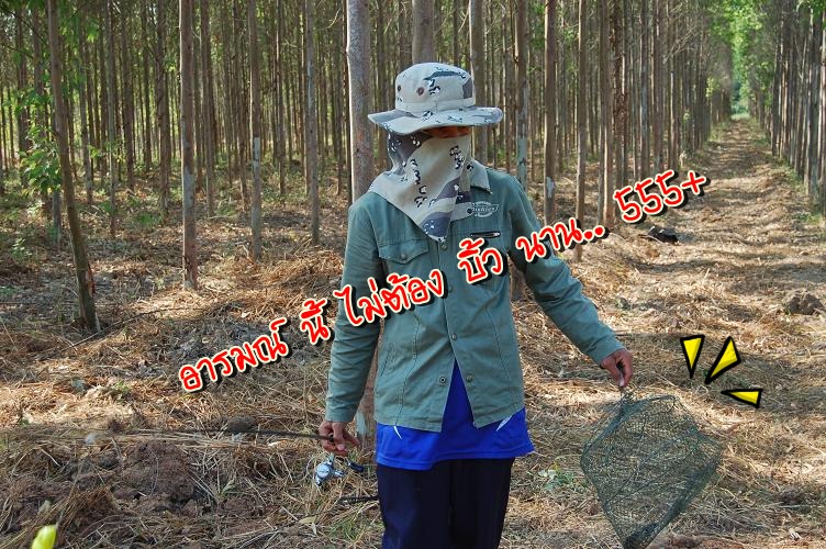 555 กระชัง ว่างปล่าว  ปลาช่อน เป็น ล้านนนน เป็นไงละ  :laughing: :laughing: :laughing: