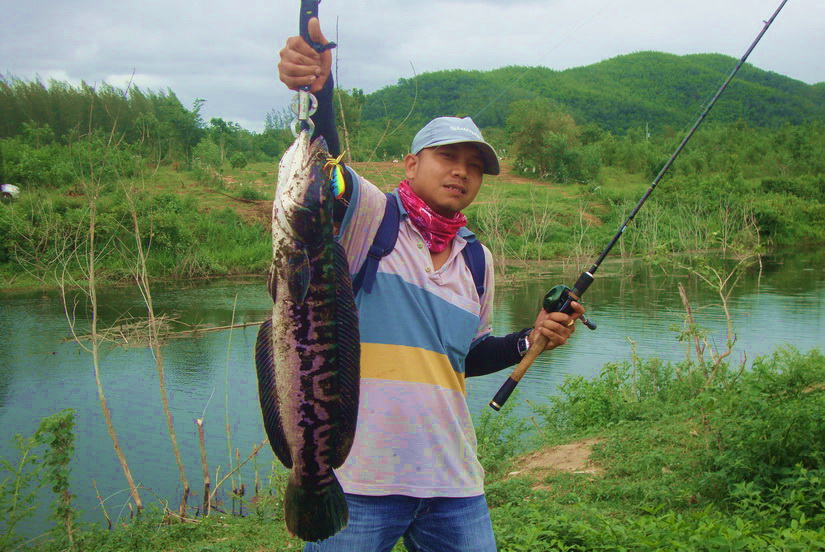 สุดมันส์ช่อนกระสูบชะโด