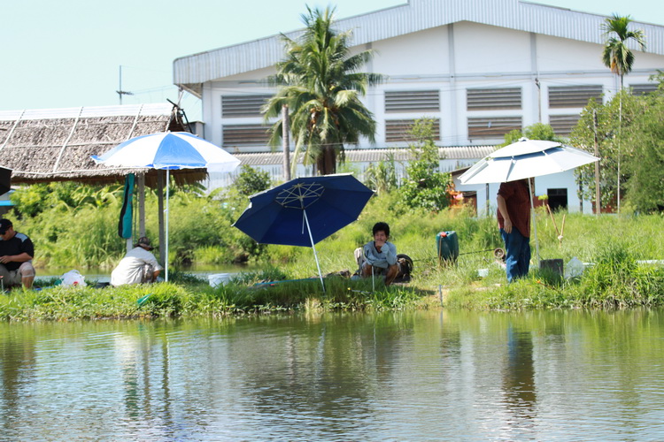 ช่วงเช้าแดดดี เมื่อคืนฝนตก  :grin: