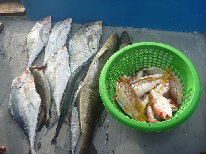 ทริพนี้ได้ปลาค่อนข้างน้อย เนื่องจากอากาศและทะเลไม่เป็นใจ :frown: