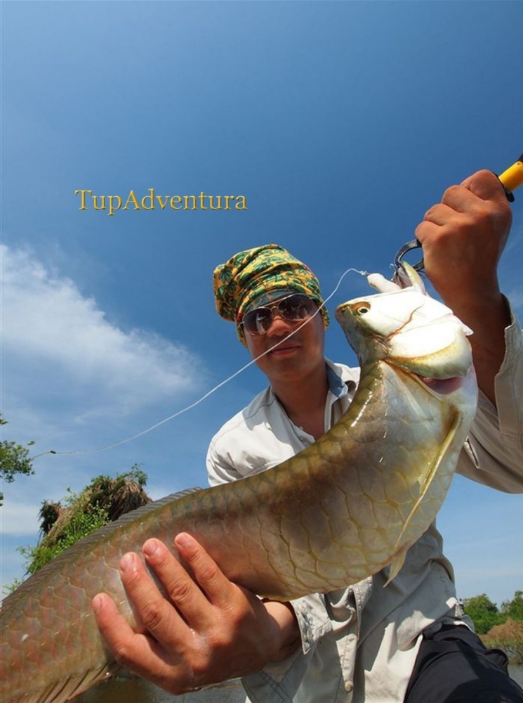 Arowana อีกตัวกับเหยื่อ Top Water 
 ไปครั้งนี้โดน ปลา อะโรวาน่า เยอะมากกว่าครั้งแรกครับ คงเป็นเพราะ