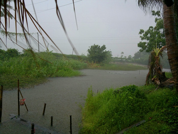 และแล้วฝนก็ตกจนได้ .....