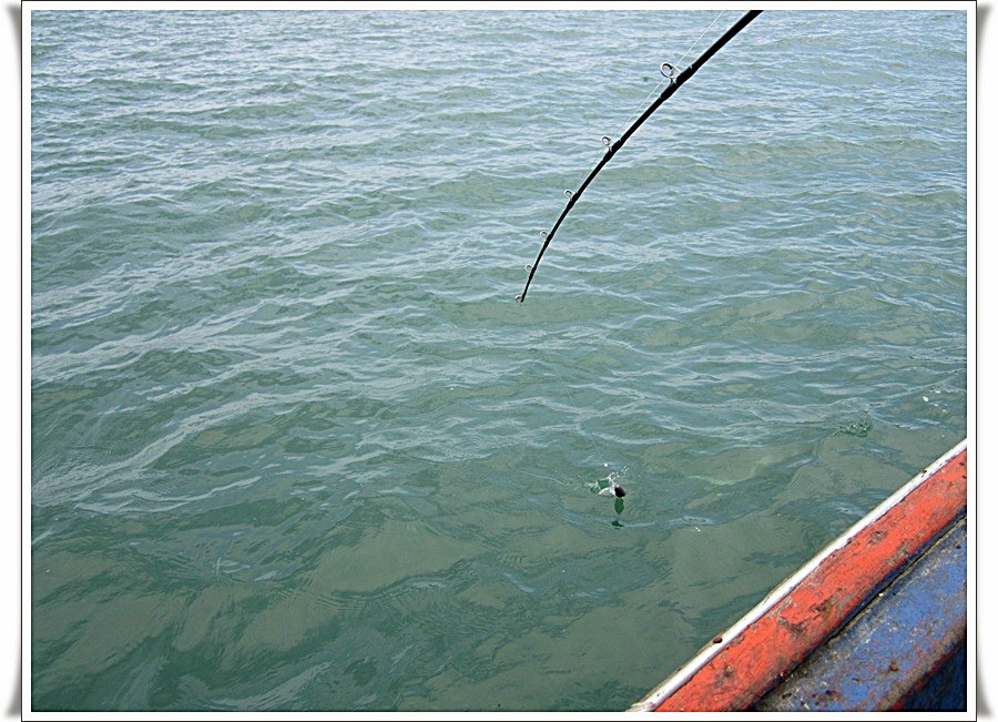  [b]น้าลพอัดลากปลาจนมาถึงข้างเรือแล้วเห็นชัดๆว่ามันคือสละไซด์ประมาณโลได้เตรียมจะเอาขึ้นเรือ แล้วจู่ๆ