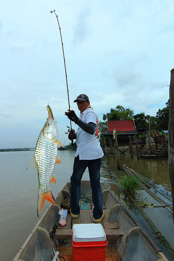 +++คนจะตกปลา...ดันมาท้าให้ตกนก(พิราบ)