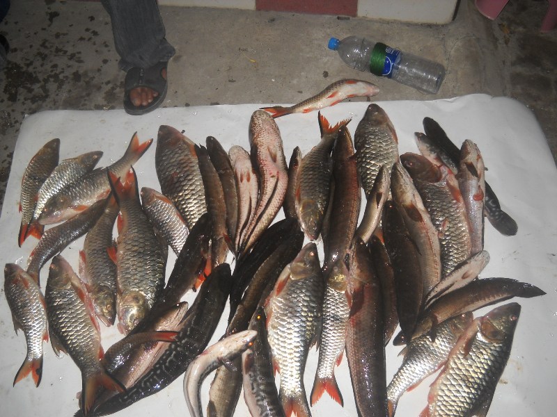 กลับมาถึงชลบุรีก็ได้ปลาแค่นี้ล่ะครับน้าๆ
ถ้าถามว่าคุ้มไหมกับค่าใช่จ่ายที่เสียไปกับได้ปลาแค่นี้  ไม่
