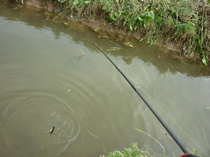 [q][i]อ้างถึง: CT_toy posted: 19-06-2555, 17:53:27[/i]

++++++++++++++ครับน้า ก๋ง ตามชมผลงานครับ ก