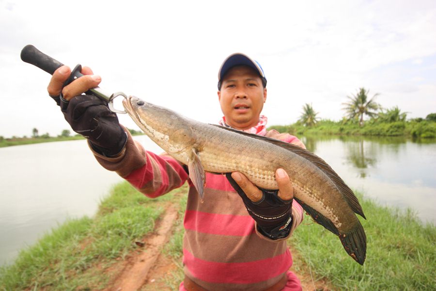  [b]ขอบคุณทุกท่านที่ติดตามชมนะครับขอบคุณสมาชิกร่วมทริพทุกท่านแล้วเจอกันทริพบางขามนะครับ[/b] :cheer: 