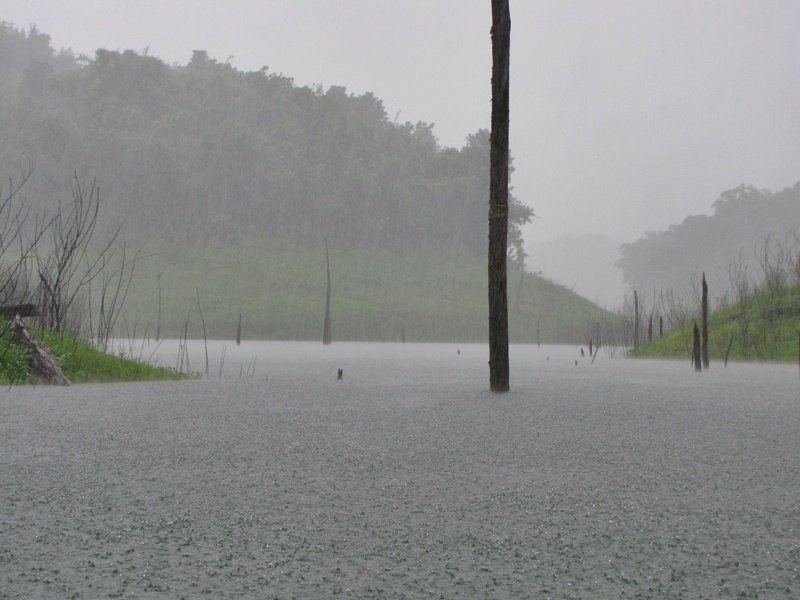     บรรยากาศ ตอนฝนตกคับ  :grin: :grin: :grin: