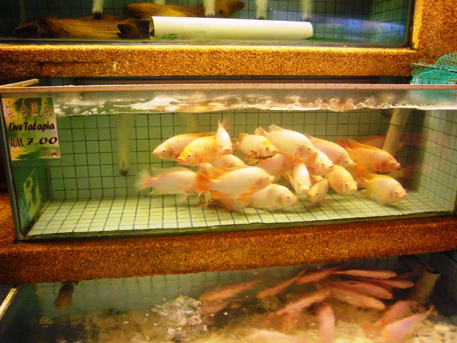 ปลาทับทิมยังแพงเลย โลละ 700