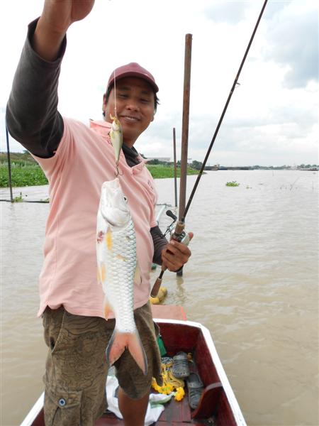 เสี่ยปลาลุยต่อด้วย Rapala Shad Rap  :smile: