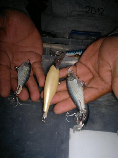 OMG เจ้าถูกอะไรทำร้ายมาเนี่ย สัตว์ประหลาดหรือยังไง :ohh:

 (ชากเหยื่อRapala Shad Rap บางส่วนของไต๋