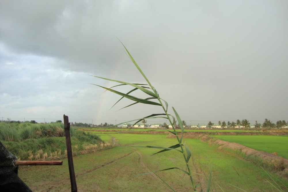 ฝนตกครับ... :cheer: :cheer: :cheer: