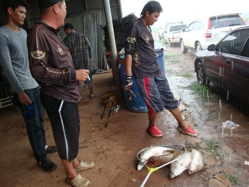  [b]เข้ามาหลบฝนกันอีกรอบ นี่ปลารวมของพี่เจี๊ยบกับน้าเจ๋งครับ[/b]