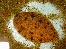 ปลาใบไม้ (ปลาลิ้นควาย)
เป็นปลาน้ำจืดชนิดหนึ่ง อยู่ในวงศ์ปลาลิ้นหมา (Soleidae) มีชื่อวิทยาศาสตร์ว่า 