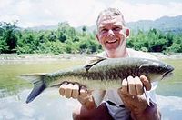 ปลาเวียน (อังกฤษ: Thai Mahseer, Greater Brook Carp) เป็นชื่อปลาน้ำจืดชนิดหนึ่ง มีชื่อวิทยาศาสตร์ว่า 