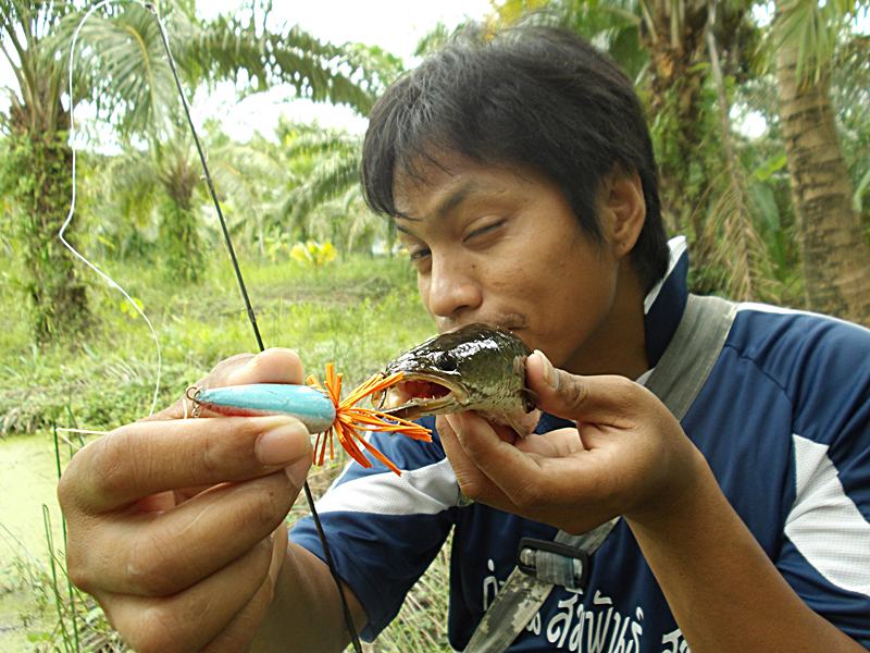                     โอ้โห!!!! มันจะมากเกินไปแล้วเพื่อน... :angry: :angry: :laughing: :laughing: :lau