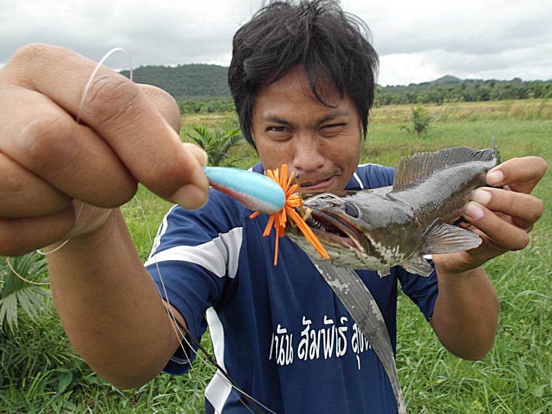                                 ขออีกใบชิมิเพื่อน..เคๆ จัดให้คร้าบบบบ... :cool: :cool: :cool: :laugh