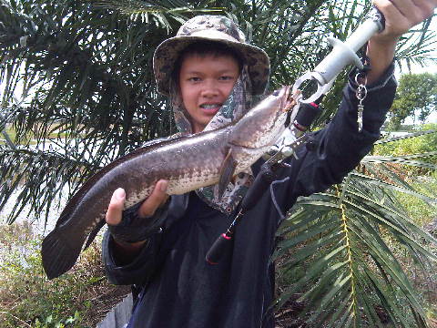 King of Frog & King of Texas 6 BYบางหลวง ฟิตชิ่ง