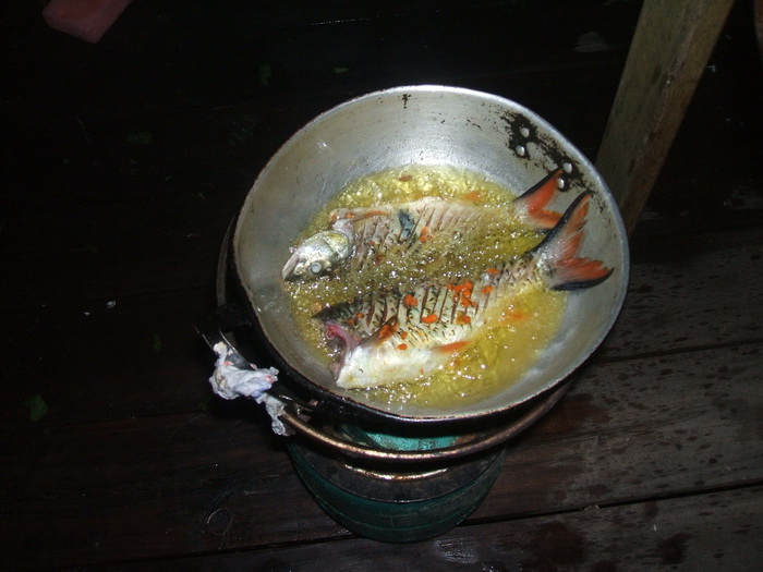 อาหารเย็นปลากระสูบทอดครับ :umh:
