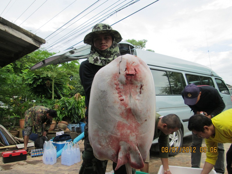 รุ้งเช้ามาเราเลยกลับเข้าฝัง เพราะหมึกที่ทำเป็นเหยื่อก็หมดด้วยครับ   :cry: :cry: :cry: :cry: :cry: