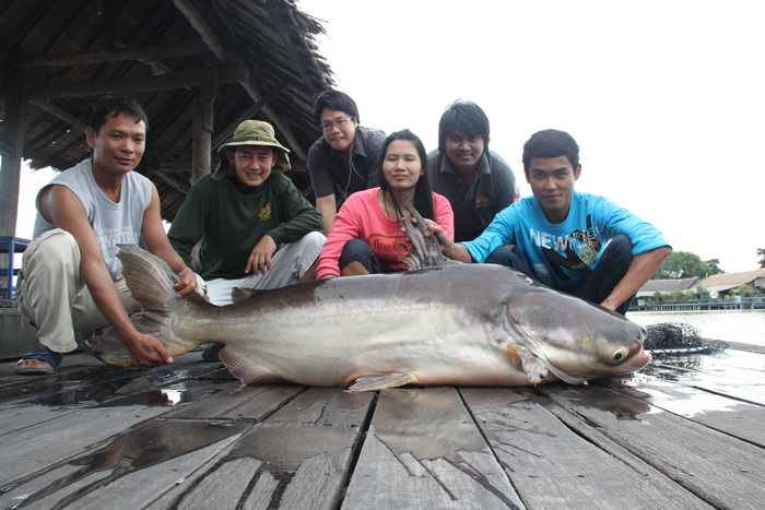 

 [b][center]ลากันด้วยภาพนี้ครับ

เป็นอีกทริปนึงที่ประทับใจที่บึงสำราญ ปลายังกินดีเหมือนเดิมครั