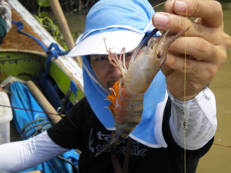 กุ้งเดียวมาแว้วววว ฮ่าาาาา  มีไข่ด้วย  :grin: :grin: :grin: :grin:


แต่ไต๋บอกว่า กุ้งไข่อ่ะมันจั