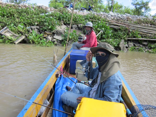 บางปะกงน้องกุ้งยังหวานอยู่