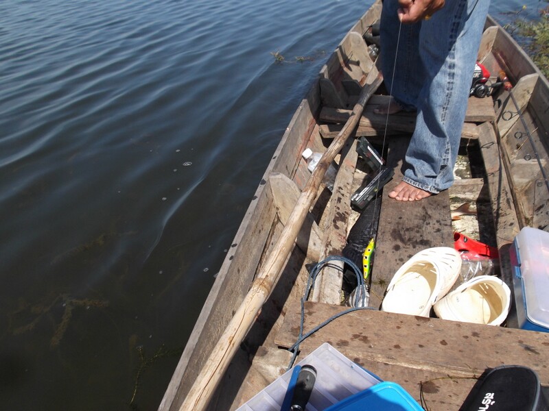                              กะลังถ่ายรูป เรือลำอื่นอยู่เพลิน...นะหมอก้อตะโกนเรียก (จะตะโกนทามมาย เร