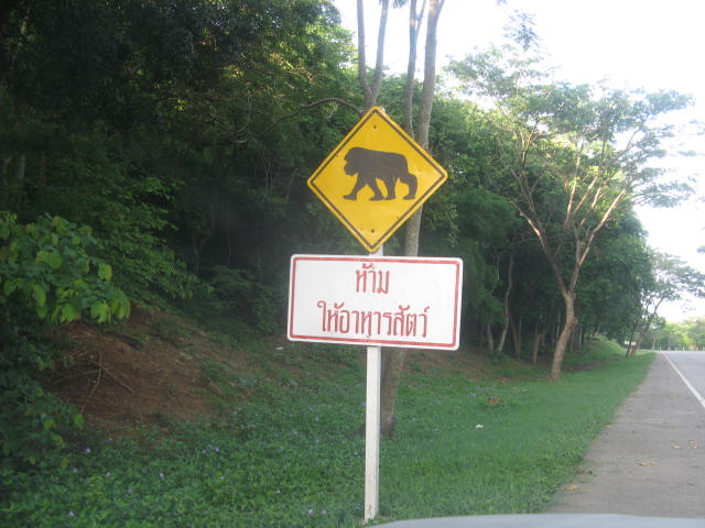 วิ่งมาเรื่อยๆๆ เจอป้ายนี้ครับ  เอ๊ะ  ห้ามให้อาหารสัตว์  แล้วในประเทศไทยมีคิงคองด้วยเหรอเนี่ย ทำไมทำป