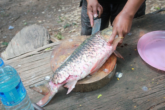 ตัวนี้ของใครก็ไม่รู้ครับ..มันใหญ่ดี..จัดการเลยครับ หุหุ.. :grin: :grin: