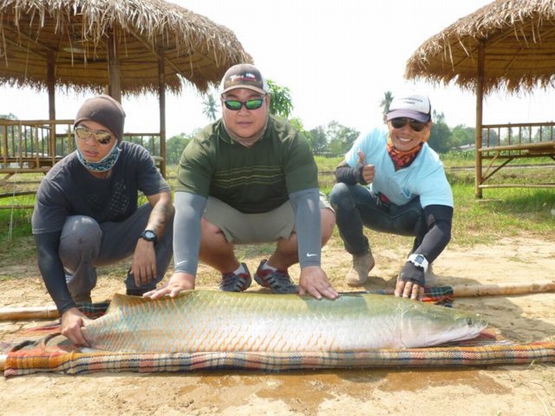 โดนกัดกันถ้วนหน้วครับ