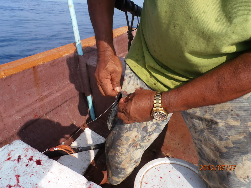 อันตรายมากเลยครับในช่วงที่ปลามันดิ้นฟาดเอาตัวเบ็ดไปเกี่ยวเข้าที่กางเกงเฉี่ยวขาไปนิดเดียวเส้นยาแดงผ่า