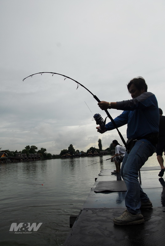 ลูกพี่กิต กับ ชุดเข็มขัดสู้ปลา M&W Jigging 

แกบอกอัดปลาดีมาก ถนัดขึ้น เข็มขัดกระชัด มีบล๊อกหลังด้