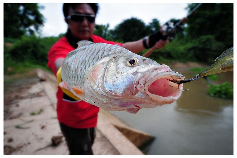 ลากันด้วยกระสูบแม่น้ำปราจีนบุรีตัวสุดท้ายของทริปก่อนกลับบ้านพักผ่อน สรุปใช้เวลา6โมงเช้าถึงบ่าย2 รวม6