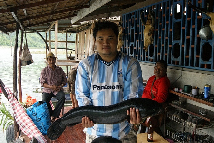 ลากันด้วยภาพสุดท้ายกับนายแบบหนุ่มหล่อ ปิศาจหมูผู้น่ารักกับผลงานแรกที่พิกัด 7 กก ด้วยเหยื่อสุดแพง สปู