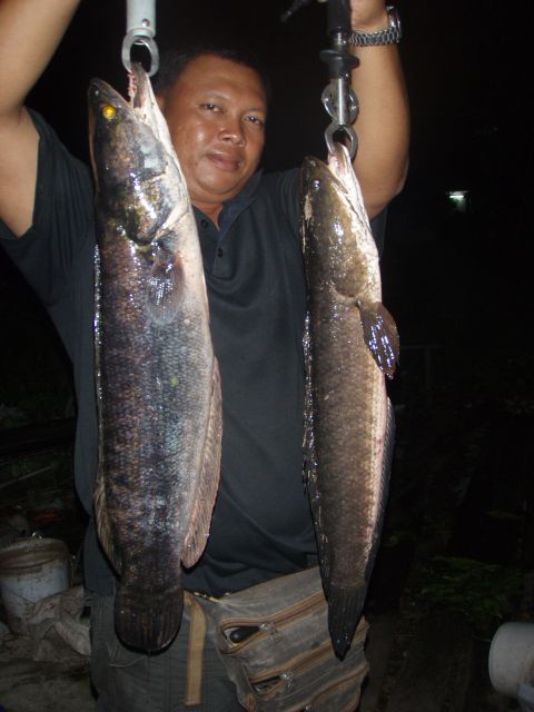 สุดท้ายนี้ ขอบพระคุณทุกท่านที่เข้ามารับชมและให้กำลังใจ yoolek  ....มากเลยนะคับ :prost: :prost: :pros